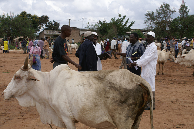 4837013311_9cf93b18a5_z